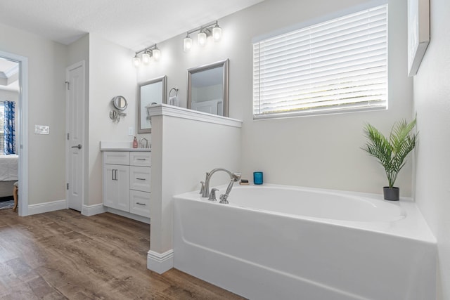 bathroom with vanity, wood-type flooring, and a bathing tub