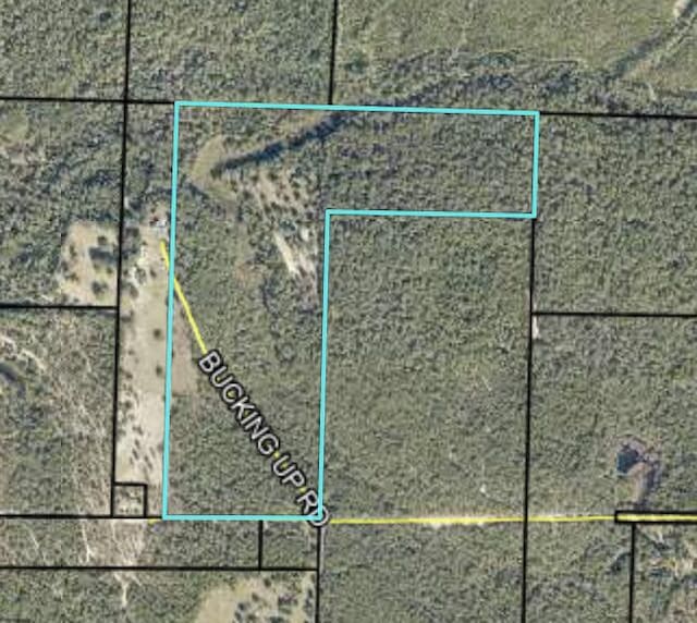 79ACRES Bucking Up Rd, Laurel Hill FL, 32567 land for sale