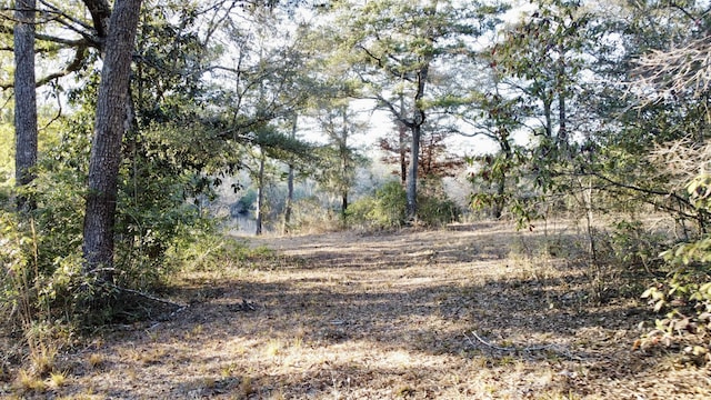 Listing photo 2 for 79ACRES Bucking Up Rd, Laurel Hill FL 32567