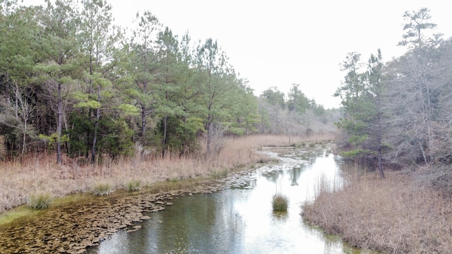 79ACRES Bucking Up Rd, Laurel Hill, FL 32567