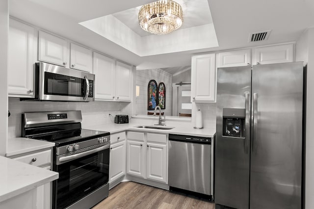 kitchen with a tray ceiling, appliances with stainless steel finishes, sink, and white cabinetry