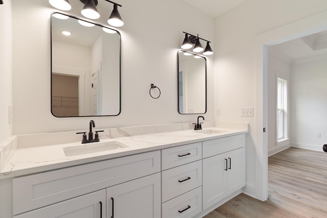 bathroom featuring vanity and hardwood / wood-style floors