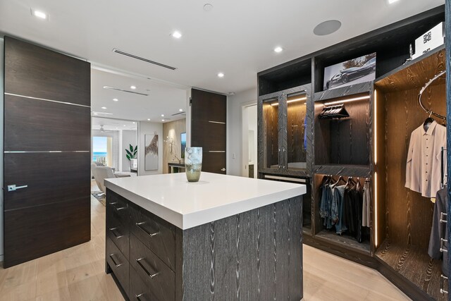 walk in closet featuring light hardwood / wood-style flooring