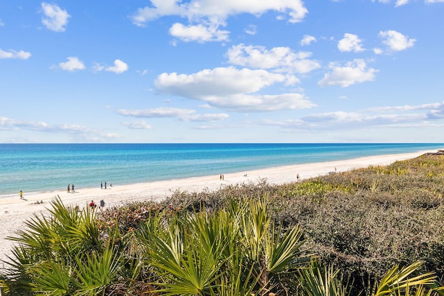 property view of water featuring a view of the beach