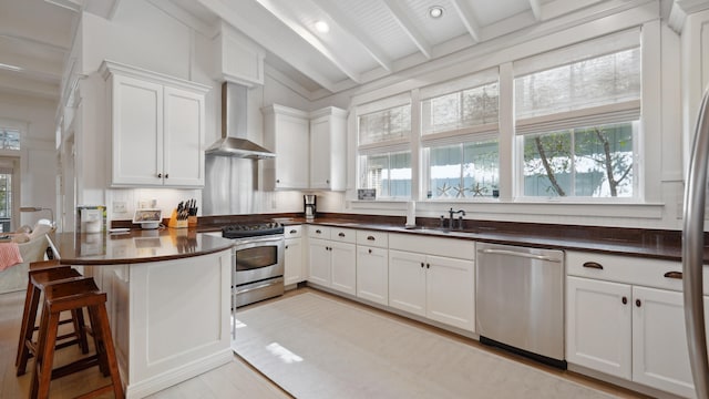 kitchen featuring wall chimney exhaust hood, a wealth of natural light, stainless steel appliances, and white cabinets