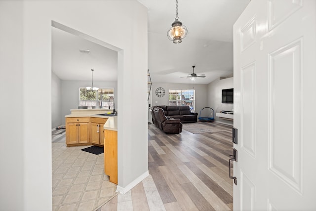 foyer featuring ceiling fan, a healthy amount of sunlight, light wood-type flooring, and sink