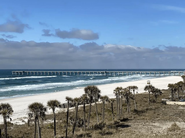 property view of water featuring a beach view