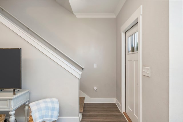 foyer entrance with crown molding and dark hardwood / wood-style flooring