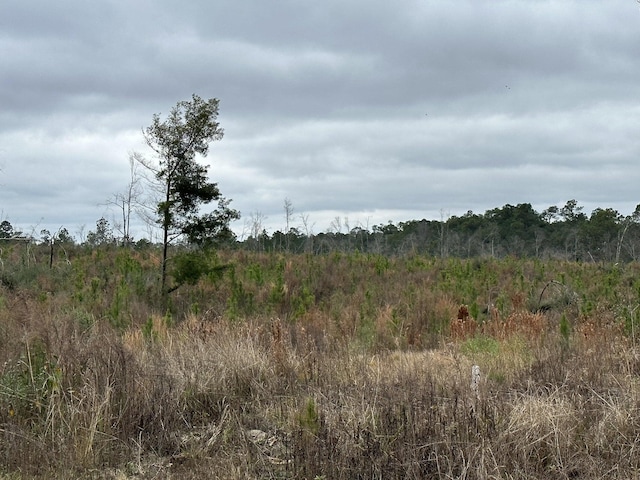 Listing photo 3 for TRACT6337 Decon Rd Unit Middle 22.34Acres, Bonifay FL 32425