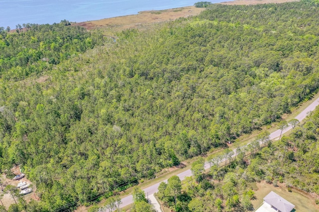 7.25ACRES Jolly Bay Rd, Freeport, FL 32439