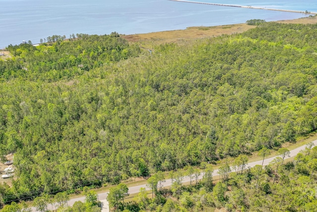 7.25ACRES Jolly Bay Rd, Freeport, FL 32439