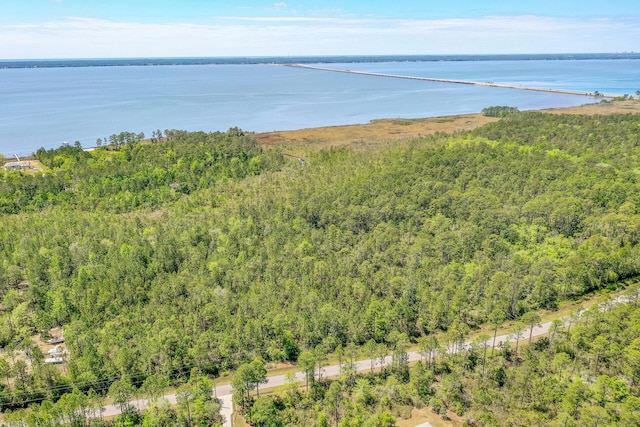 7.25ACRES Jolly Bay Rd, Freeport, FL 32439