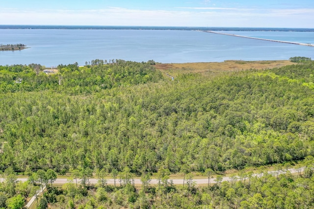 7.25ACRES Jolly Bay Rd, Freeport, FL 32439