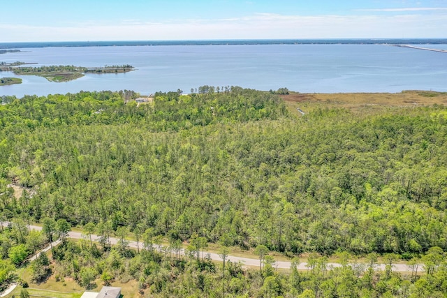 7.25ACRES Jolly Bay Rd, Freeport, FL 32439