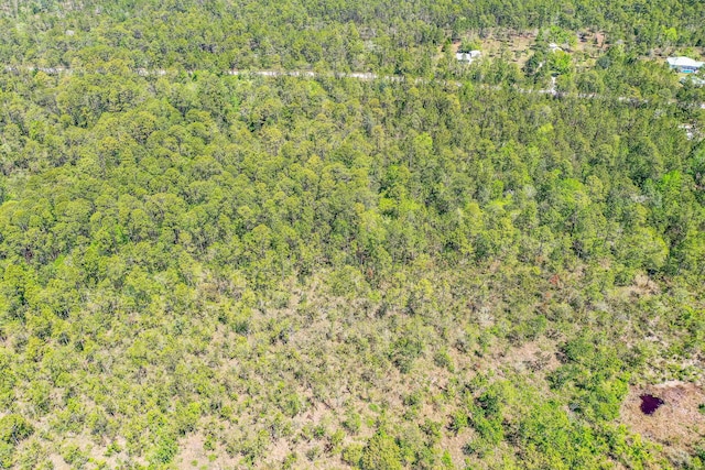 7.25ACRES Jolly Bay Rd, Freeport, FL 32439