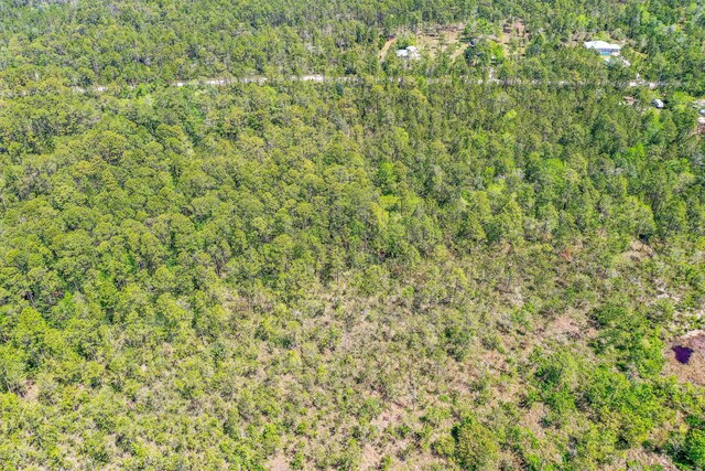7.25ACRES Jolly Bay Rd, Freeport, FL 32439
