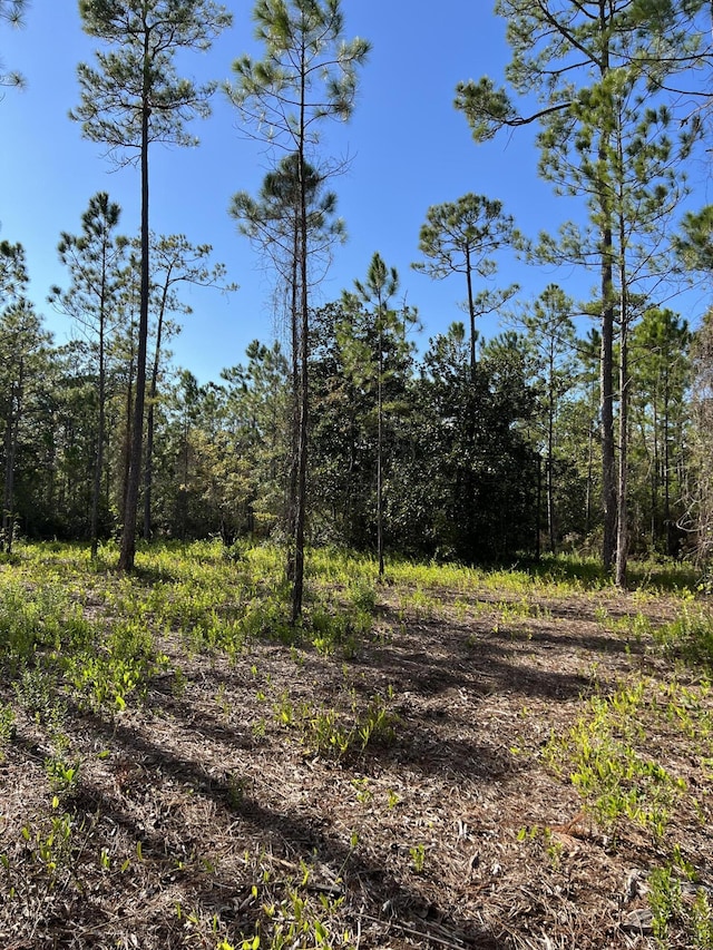 7.25ACRES Jolly Bay Rd, Freeport, FL 32439