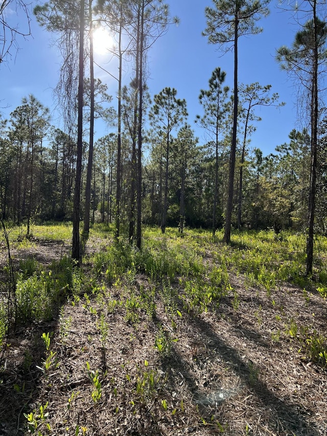 7.25ACRES Jolly Bay Rd, Freeport, FL 32439