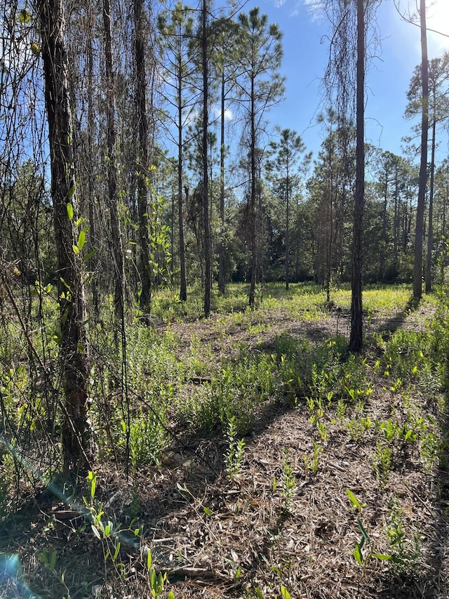 7.25ACRES Jolly Bay Rd, Freeport, FL 32439