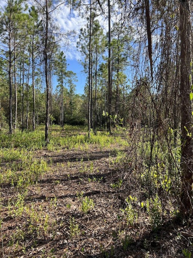7.25ACRES Jolly Bay Rd, Freeport, FL 32439