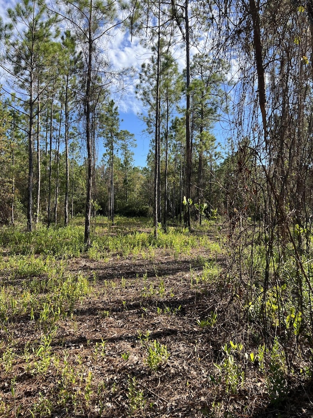 7.25ACRES Jolly Bay Rd, Freeport, FL 32439