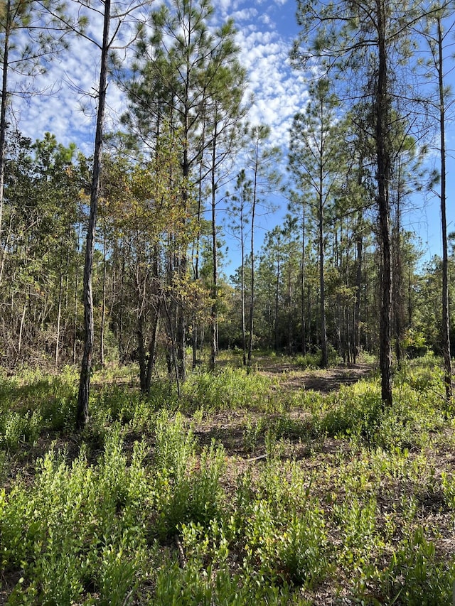 7.25ACRES Jolly Bay Rd, Freeport, FL 32439