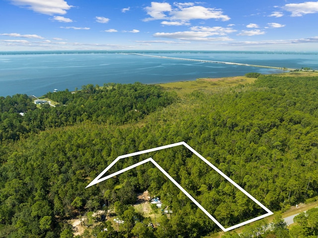 7.25ACRES Jolly Bay Rd, Freeport, FL 32439