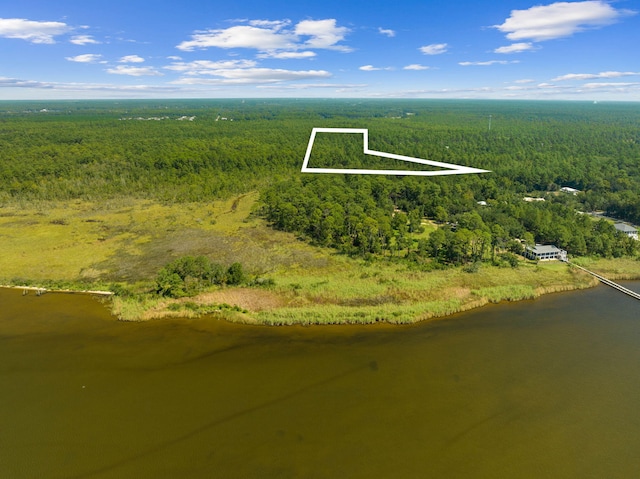 7.25ACRES Jolly Bay Rd, Freeport, FL 32439