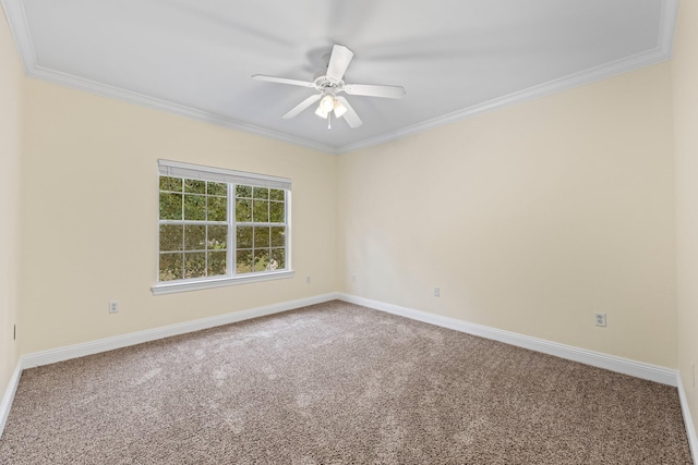 empty room featuring ceiling fan, carpet floors, and ornamental molding