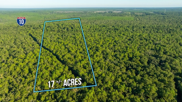 17ACRES Lyons Pl, Holt FL, 32564 land for sale