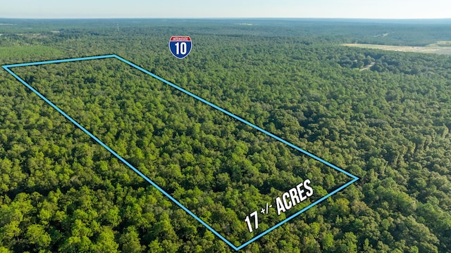 Listing photo 2 for 17ACRES Lyons Pl, Holt FL 32564