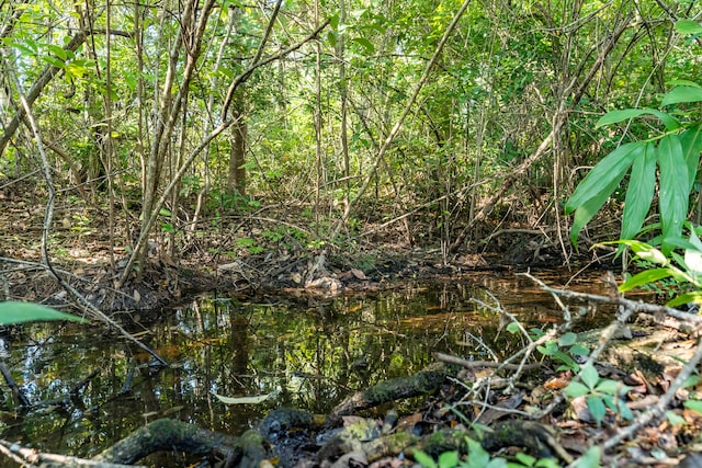 view of nature featuring a water view