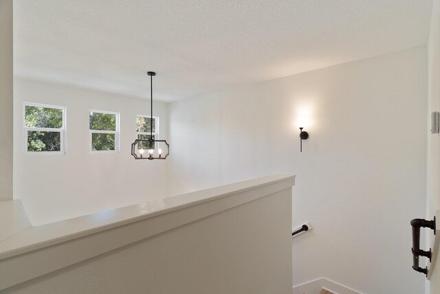 807B S Cedar Ave, Niceville, FL 32578 - photo 23