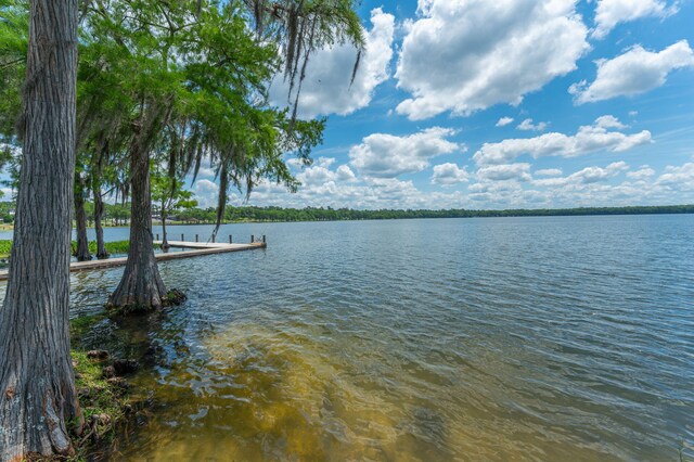 property view of water featuring a boat dock