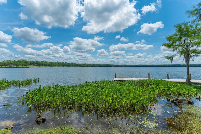 water view with a dock