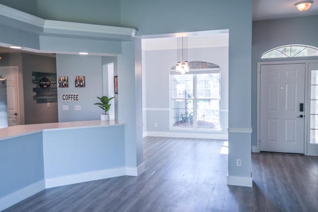 entrance foyer with dark wood-type flooring