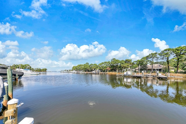 water view featuring a boat dock