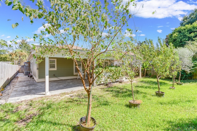 view of yard featuring a patio