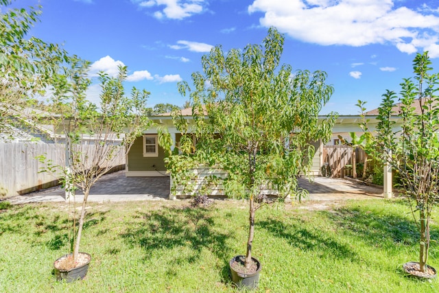 view of yard featuring a patio