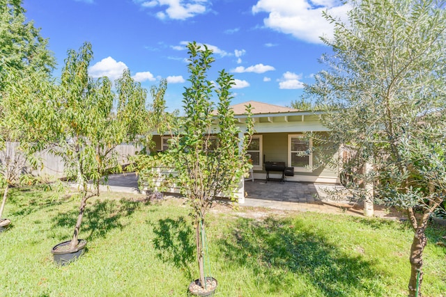 view of yard featuring a patio area