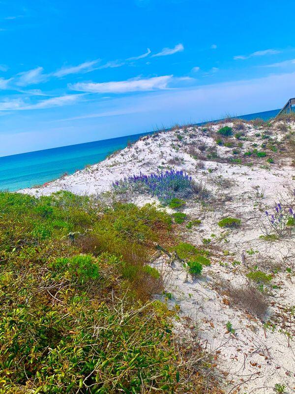 property view of water featuring a view of the beach