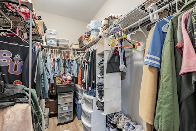 spacious closet with hardwood / wood-style floors