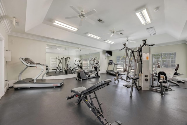 exercise room featuring crown molding, ceiling fan, and a raised ceiling