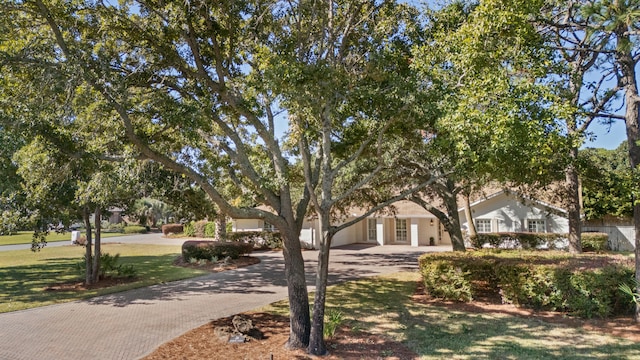 obstructed view of property featuring a front lawn