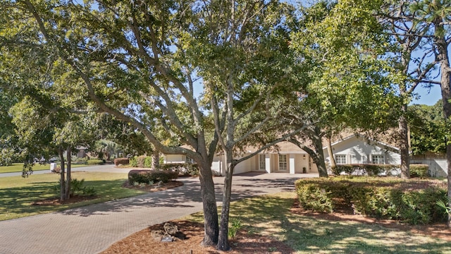 obstructed view of property featuring driveway and a front yard