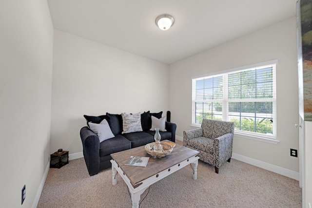 view of carpeted living room