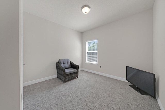 sitting room with light colored carpet