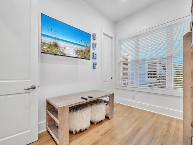 interior space featuring hardwood / wood-style flooring