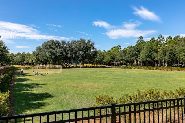 147 Silver Laurel Way, Santa Rosa Beach, FL 32459 - view of yard