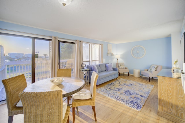 dining room featuring plenty of natural light and light hardwood / wood-style flooring